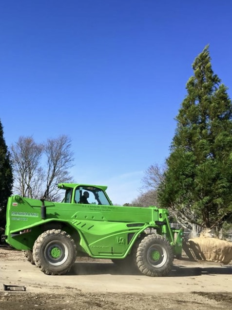 HF Johnson Tree Farm Boston